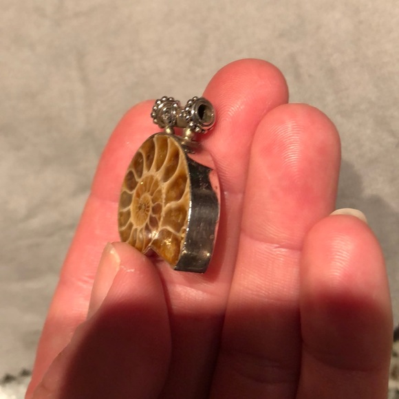 Ammonite & Sterling Silver Pendant - Picture 7 of 8